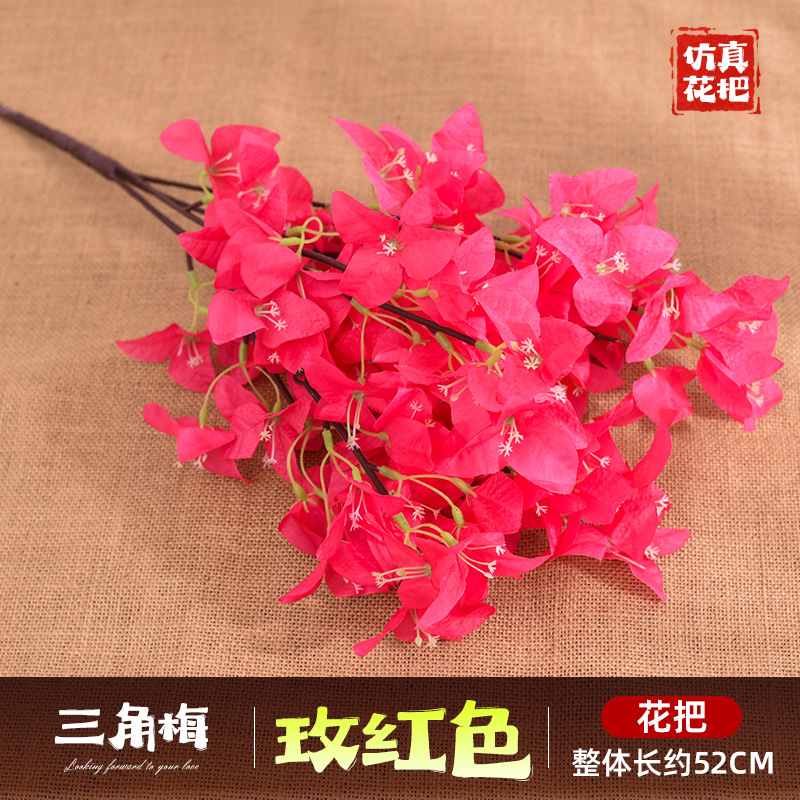 다섯 갈래 부겐빌레아-로즈 레드