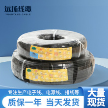 2464 20AWG2C4C �Դ���o�׾� RVV����늾���Ӳ�|PVC���ƾ�