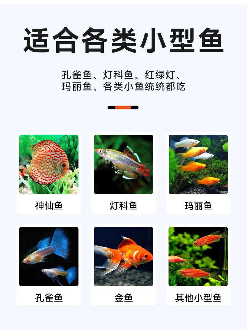 Patch fish food_04.jpg