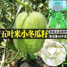 ���~��С���ϷN��һ��⏹��ϷN��ԭ�b�ļ��߲˷N�Ӵ�ȫ�˷N�����l