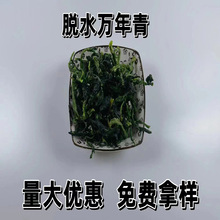 �S�ҹ���Óˮ�f���� Óˮ��о�����f�����ϙ�˸ɸ�؛�����f����