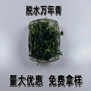 SҹÓˮf Óˮоfϙ˸ɸ؛f