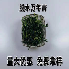 厂家供应脱水万年青 脱水菜芯凉拌万年青橄榄菜干干货菜心万年青