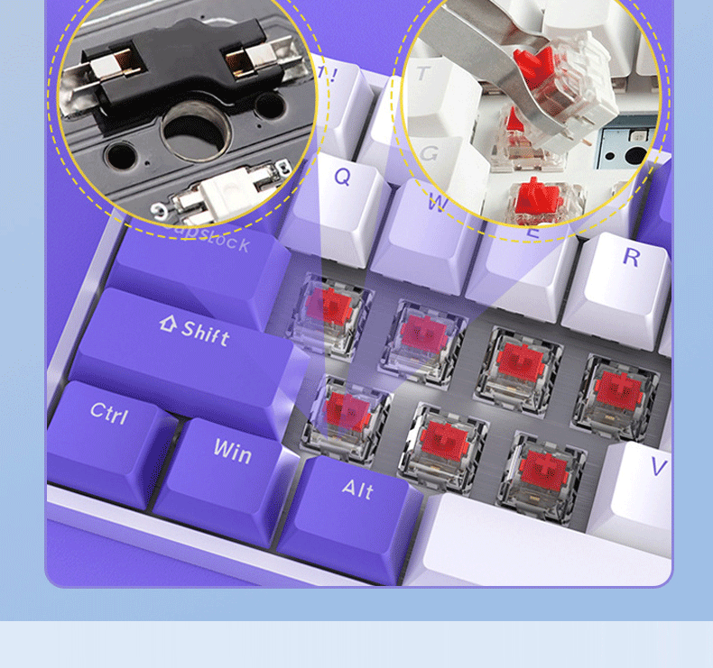 O1CN01vCWG2Z1RlfR1U12QC_!!2210208802152-1-cib.gif
