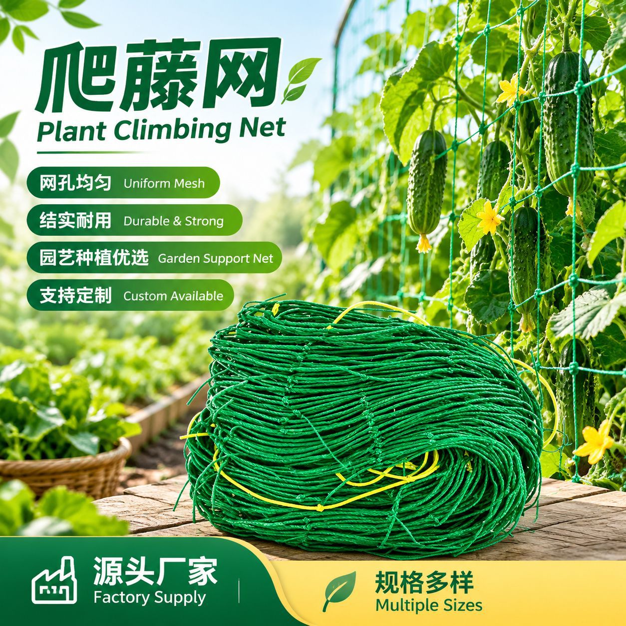 厂家现货植物爬藤网农用黄瓜豆角山药丝瓜等攀爬网园艺种植网批发