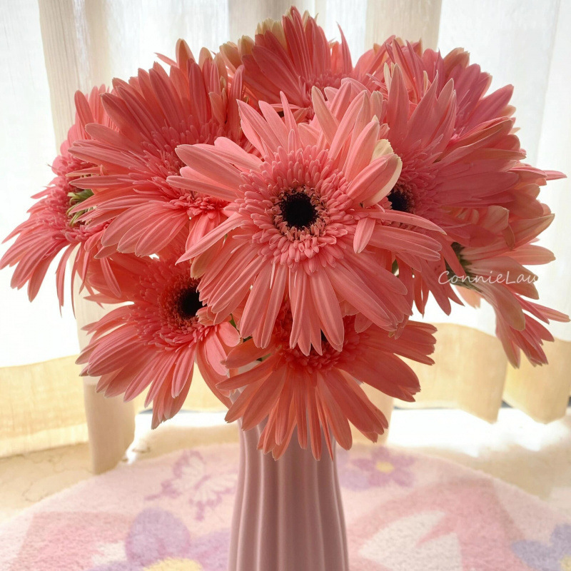 玫瑰花鲜花云南昆明基地批直发百合向日葵红豆家用鲜切水养插|undefined