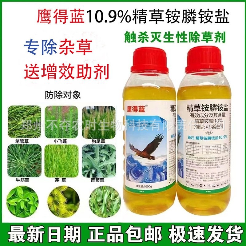 鹰德蓝10.9%精草铵膦铵盐果园除草剂非耕地杂草不残留烂根死根