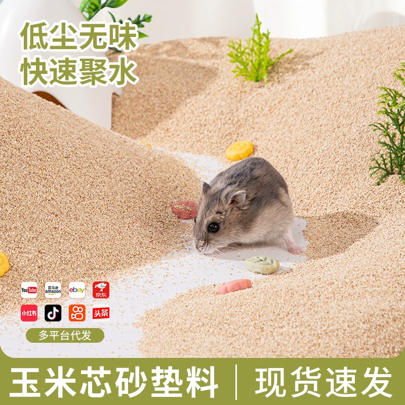 Хомяк кукурузный початок обновляет кукурузный песок летом