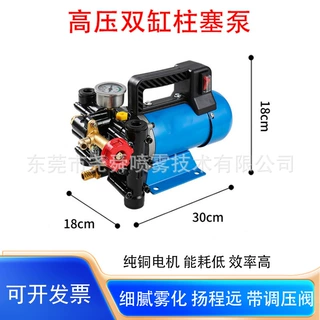 高压双缸柱塞泵新款电动喷雾器手提便携式农用果树打药机12V4872V