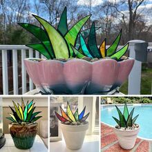 Agave Aloe Potted����Ҿ��b������m�J�C���Թ�ˇƷĸ�H���Y��