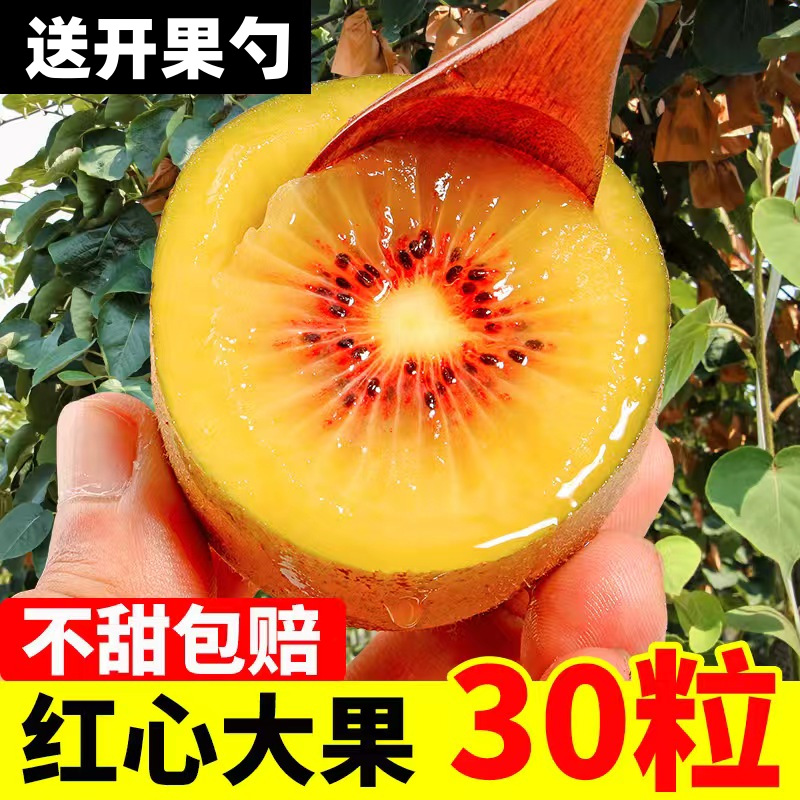 猕猴桃四川蒲江大弥猴桃孕妇甜应季水果异果当季整箱工厂批发