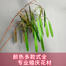 ����ܛ�z�㶹�v�Gֲ���ǻ�Y�����b廨�Gֲ�����ⶹܛ�b���m��