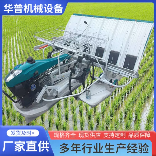 水稻插秧机 稻田栽苗机 手推前置水稻种植机