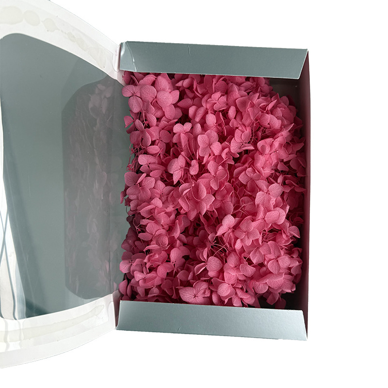 Anna Hortensia flor eterna Rosa Eterna caja de regalo flor seca flor preservada Flor Eterna