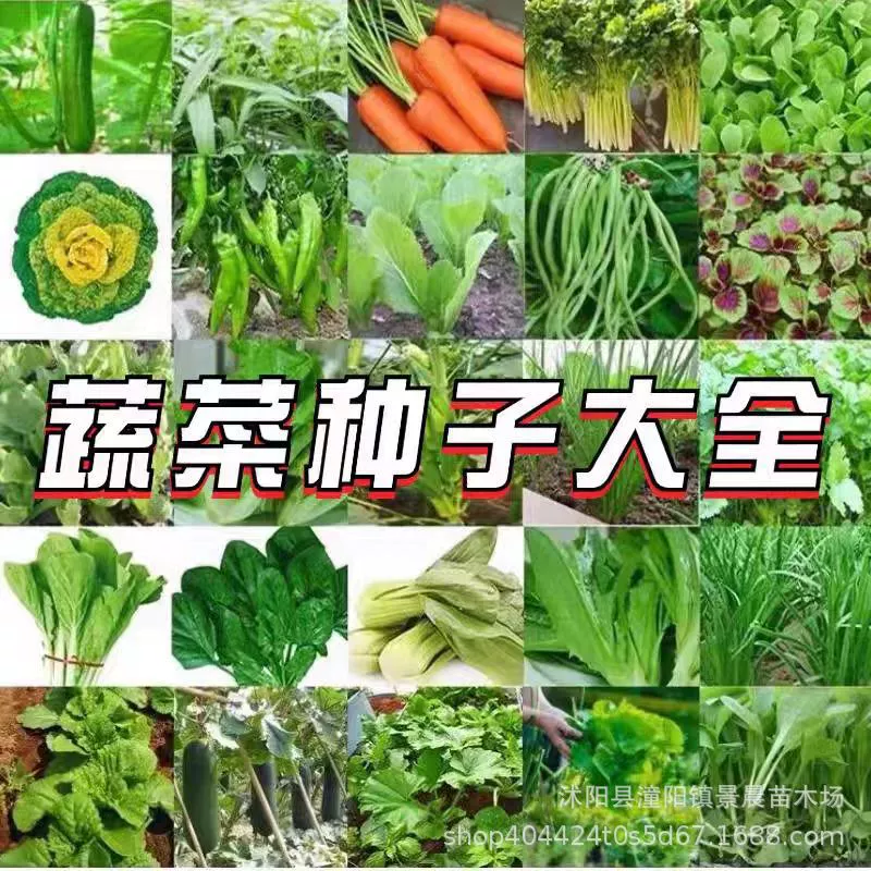 Четырехсезонные овощные семена, овощные семена для балкона и двора, овощные семена, которые легко выращивать, овощные семена, семена для огорода