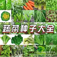 Четырехсезонные овощные семена, овощные семена для балкона и двора, овощные семена, которые легко выращивать, овощные семена, семена для огорода