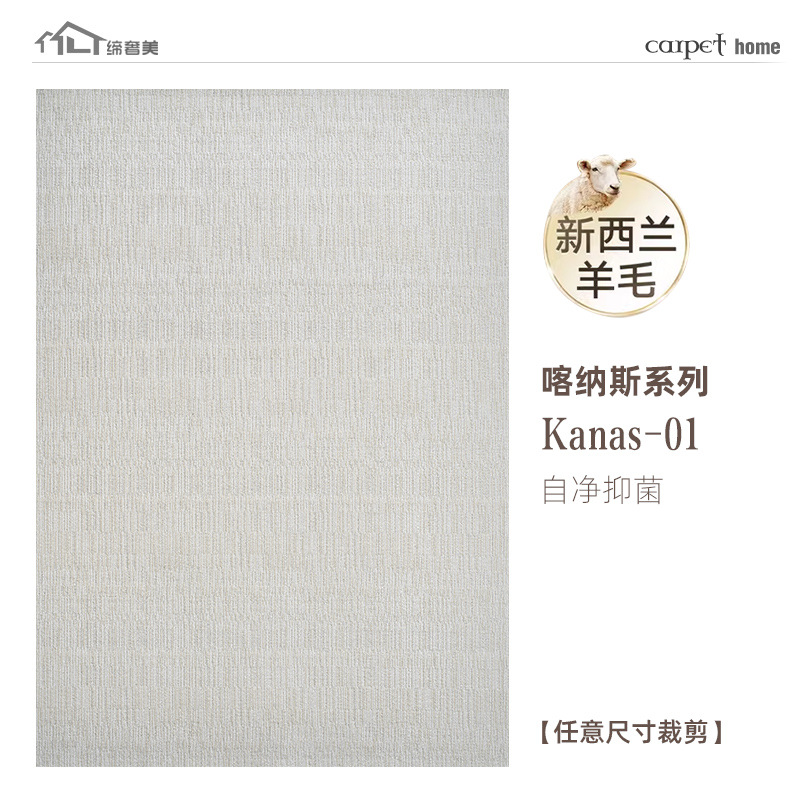 Fábrica de fuente de lana alfombra doméstica sala de estar sofá mesa de té mantas antisucias fáciles de cuidar mantas de cama personalizadas