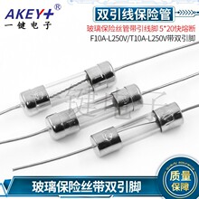 �������U�z�܎������_ 5*20���۔�F10A-L250V/T10A-L250V���p���_