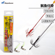 �ձ�HAYABUSA���~�h�ɒ���D���h�˒�ុ�������\ī�~ҹ�ⴵͲ�h