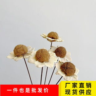 ���S���lլ���L�[��ͩ���ɹ� ��Ȼֲ�ﻨˇܛ�b �͏d�ҾӔ[�ŵ���