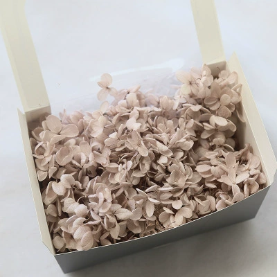 Вечной жизни глиняный горшок гимнастика 20G День Святого Валентина DIY цветочный материал Средняя лотос Строка Производитель оптом большой объем