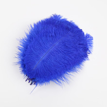 �S��ֱ���r�Bë15-20CM�r�B��ë�b���ë�W�t���x���F؛���l