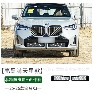 Face Grille Air Intake – Automobile anti-insect net - 25-26-bmw-x3-gypsophila-silver-dot-water-tank-insect-net