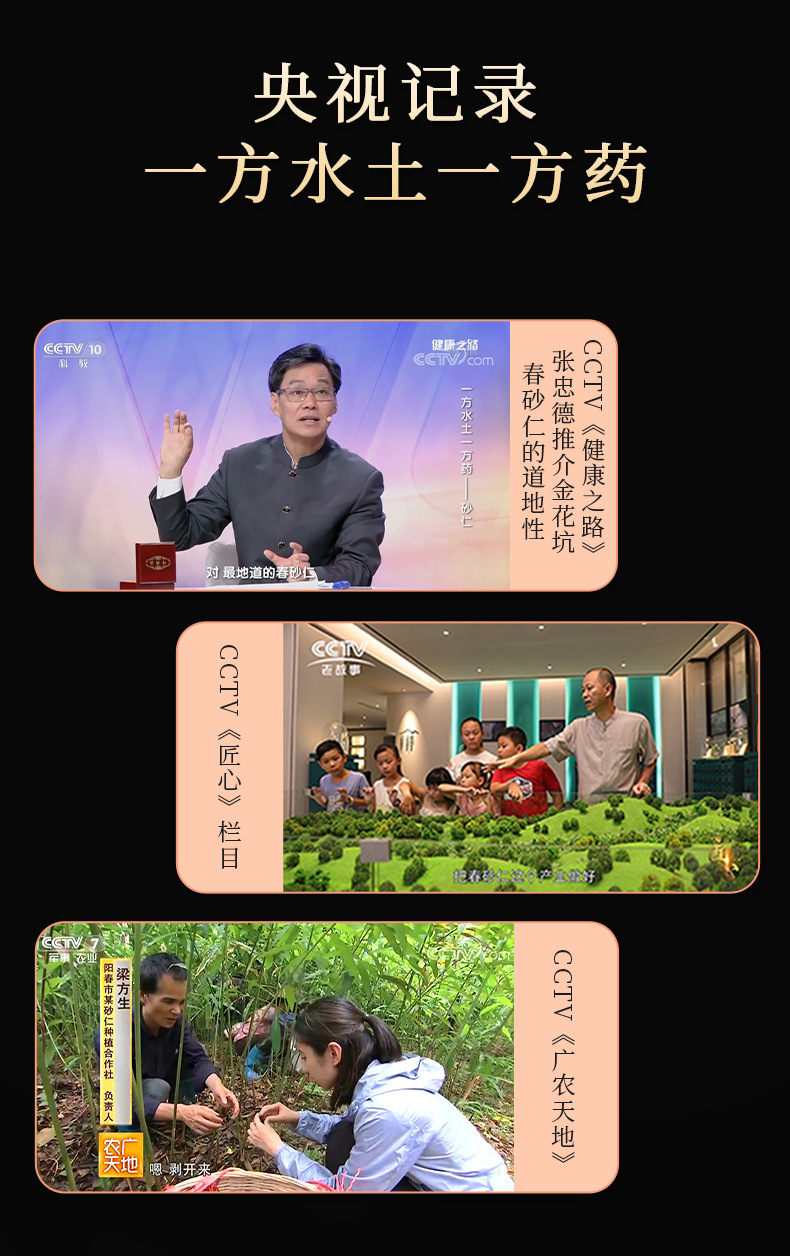 Authentic Yangchun Amomum Fruit Sha Ren 150g Dried TCM Herb for Decoctions and Culinary Use specifications