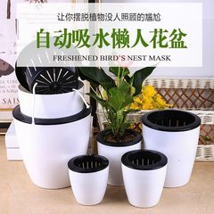 怠惰な植木鉢は自動的に水を吸収します、緑の植物用の怠惰なポット、特別オファー、クロロフィツム、水耕栽培の自吸式ポット、プラスチック製の吸収性ポット