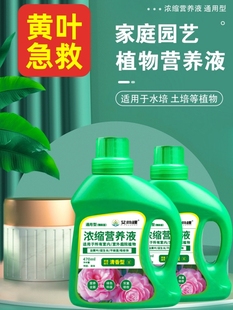 Plant Nutrient Solution, Universal Green Plant Stiff Seedlings, Yellow Leaves First Aid, Soil Culture, Hydroponics, Potted Florals, Flower Fertilizer, Liquid Fertilizer