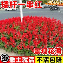 һ���t���N�����ļ����N�_�����ڰ����t�N���׻�����ͥԺ���^�G��