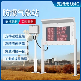 其他气体分析;在线监测仪;气体检测仪