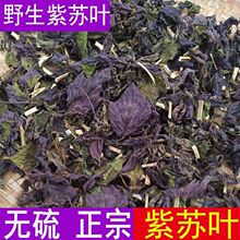 包邮野生紫苏叶紫苏干货泡茶炒鱼海鲜去腥食用香料材泡脚批发