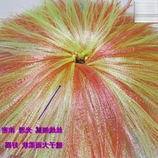 ��ِ�����������Ͻz�������׃��@��Ӄ�ͯС�W���ֹ����K����ë