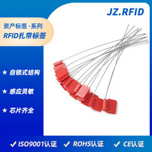 货物运输管理智能塑料防盗防拆电子标签定制 钢丝绳RFID铅封扎带