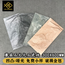 �ִ�Ģ��ʯ�Ļ�ʯ��ש300x600mm��͹�ƹ�����Խ���ΧǽͥԺǽש