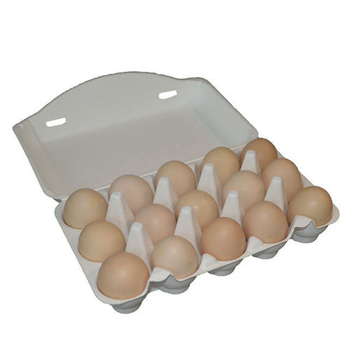 Factory Direct Sales Disposable Biodegradable Chicken Egg Cartons Paper Pulp Egg Box Eco-Friendly Hatching Egg Cartons