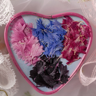 Cornflower Petal Dropping Glue Dried Flower Mobile Phone Shell Material Bag Pressure Empress Flower Painting Material Plant Specimen Bride Makeup