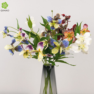 ��Y���滨���Sβ�m�ҾӔzӰ�[�Ļ�Y�c�Y����ӭ�e���T�������l