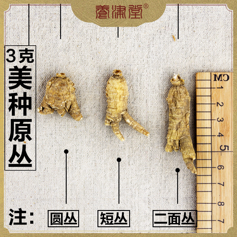 U.S.A Ginseng American ginseng Wisconsin 3g Specifications section Manufactor wholesale
