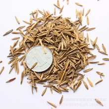 ²ݷNl oâȸN ߮a lâȸN