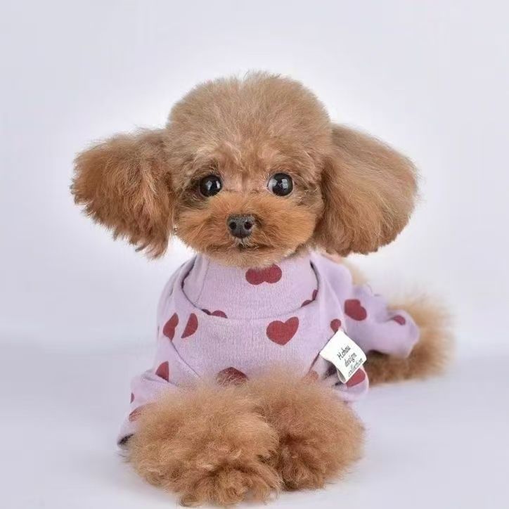 犬の服、冬のペットの服、犬の服、秋冬の犬の服、冬のペットの服、愛の底シャツ