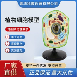 数理教学器材;教学演示用品;生物教学器材