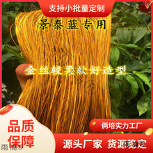 zmŮֹzɳXzy zzzdiyϺϽ