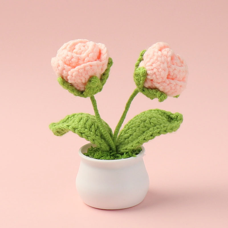 Rosas rosadas de carne terminadas (dos cabezas) pequeñas macetas