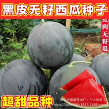 ��Ƥ�o�����ϷN�Ӵ����Ƥԭ�b�߲˴�ȫ�����Nֲ