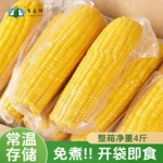 【批发】水果玉米即食褐粒遐思水果甜玉米真空包装早餐玉米整箱