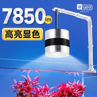 Yee water grass lamp exploding algae goldfish lanshou moss lamp led full spectrum bracket downlight anti-water grass tank lamp stream tank