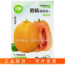兴盼慕晴哈密香薄皮甜瓜种子精纯级黄皮橙肉红瓤酥常甜三号黄金甲