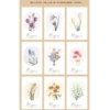 45 flower planting cards/pack